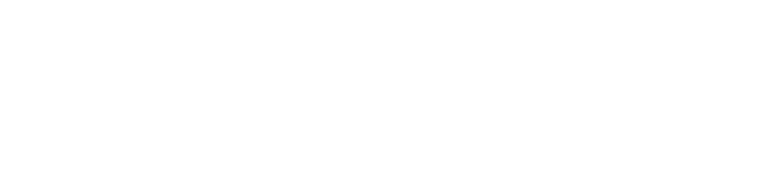 森晞logo白字v1
